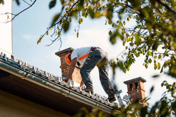 Best Roof Maintenance Services  in Whitley City, KY