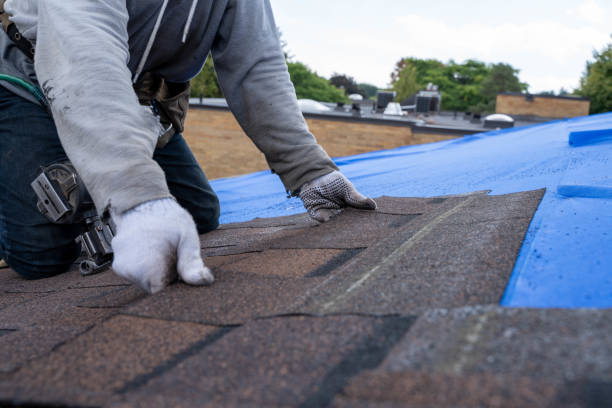 Trusted Whitley City, KY Roofing Contractor Experts