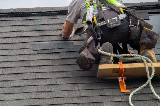 Best Roof Leak Repair  in Whitley City, KY