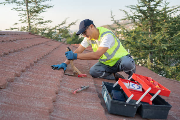 Best Local Roofing Companies  in Whitley City, KY