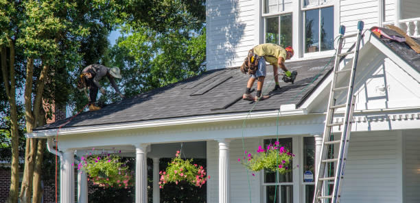 Best New Roof Installation  in Whitley City, KY