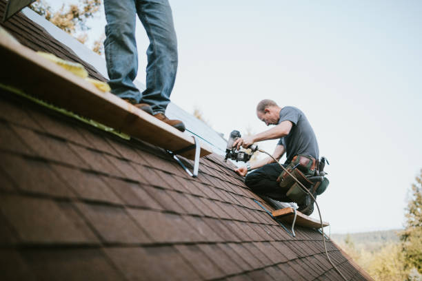 Best Roof Leak Repair  in Whitley City, KY