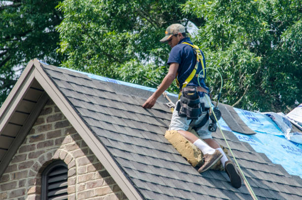 Best Affordable Roofing Company  in Whitley City, KY